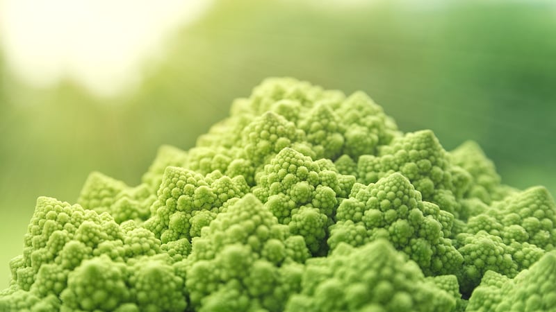 Functional Foods